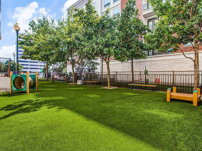 Enclosed pet park with obstacle course