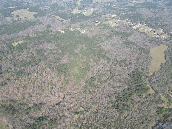 4th image of 80/ACRE S Pine Ridge Rd