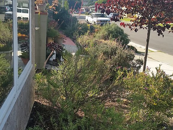 2nd image of 4108 Loma Alta Dr