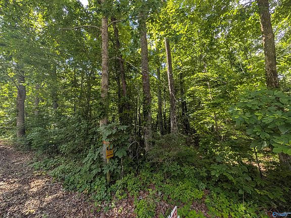 5th image of 996 Keel Mountain Rd