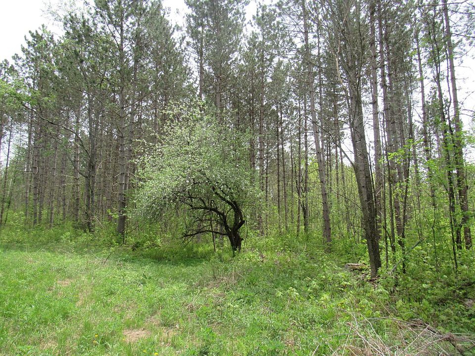 Trump Lake Rd, Wabeno, WI 54566 Zillow
