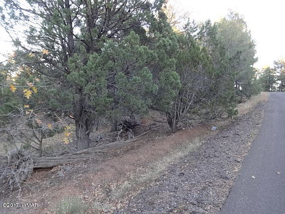 4th image of 1721 N 36th Dr