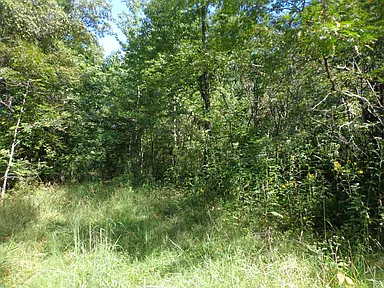 Property photo 59