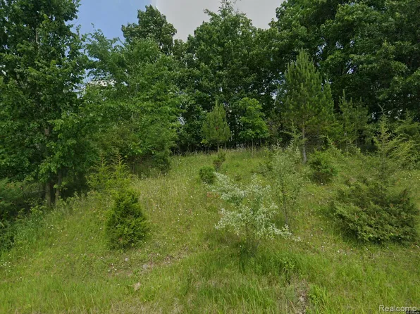 1465 McMillan Rd, Owosso, MI 48867