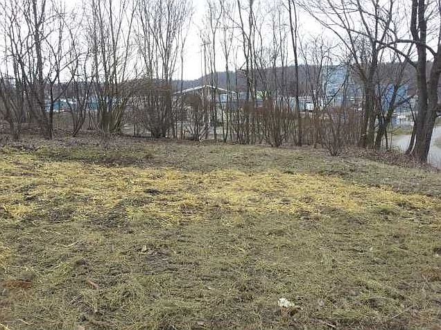 1st image of 220 S River Rd