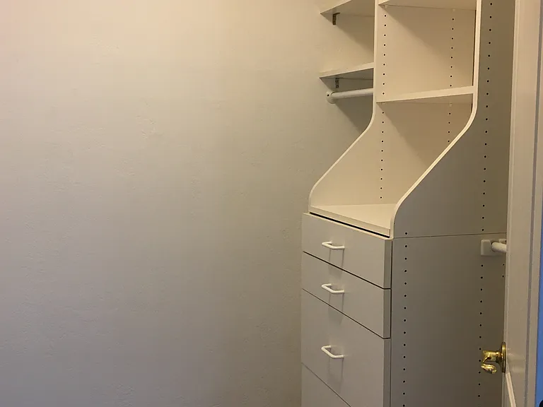 Master bedroom walk-in closet