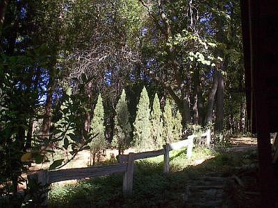 SIDE YARD