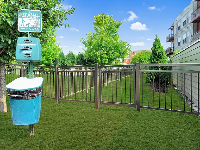 1505 Dog Park