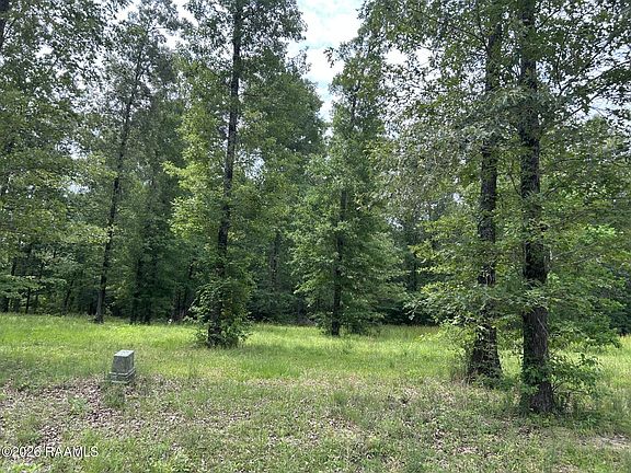 4th image of Juniper Ln