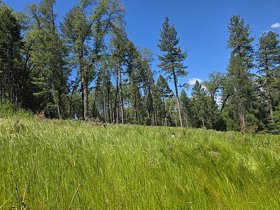 5th image of 14599 Tumbling Creek Rd