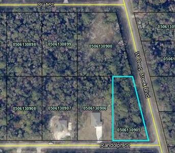 4800 Randolph St, Hastings, FL, 32145