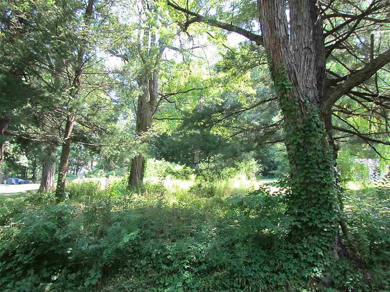 5th image of 00 MOUNTAIN VIEW Avenue