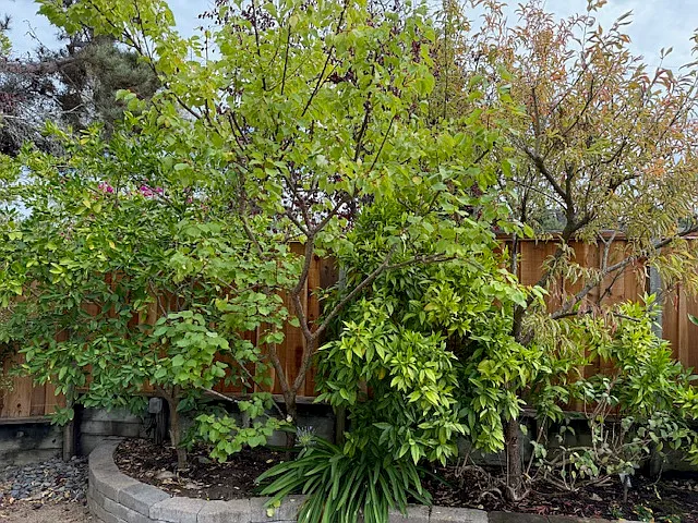 6104 Chateau Ct — Photo 39