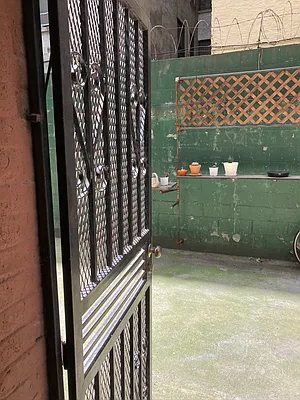 Rented by Urban Pads | media 18