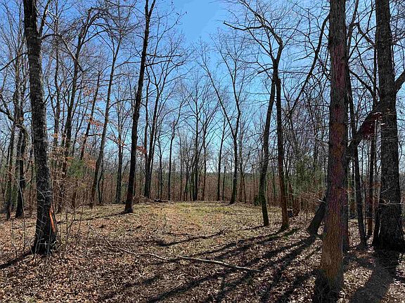 3rd image of 1 Delaney Loop