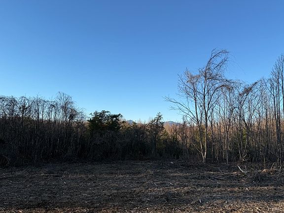 2nd image of 0 Link Rd