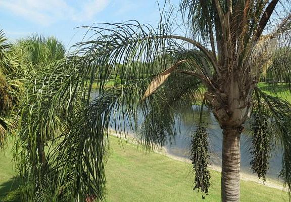 Home For Sale In Coral Lakes