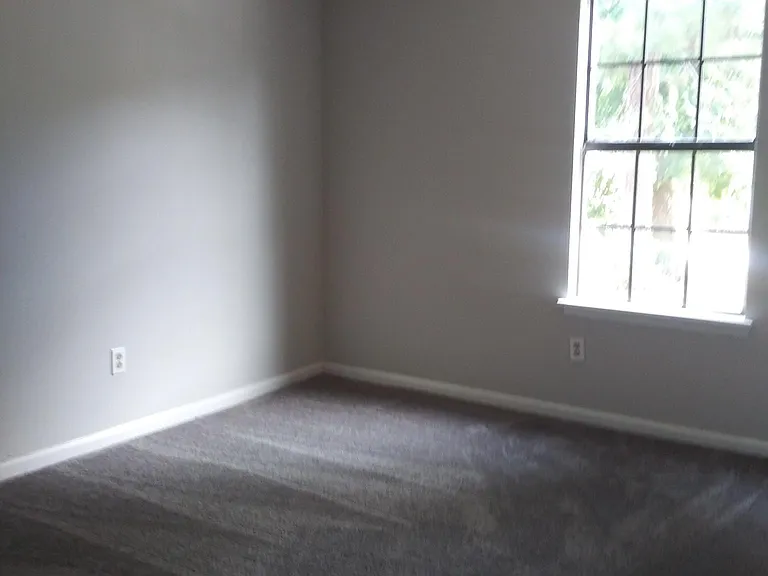 6698 Ivy Log Dr — Photo 8