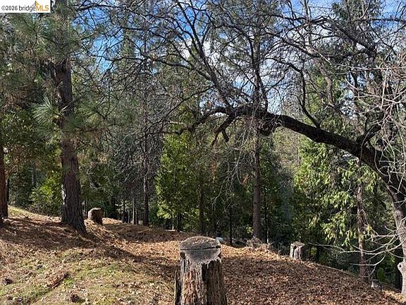 5th image of 12037 Breckenridge Rd