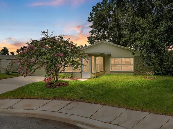 1811 Hibiscus Ct S, Oldsmar, FL 34677