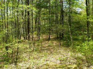 Chestnut Gap Ln, Blue Ridge, GA 30513