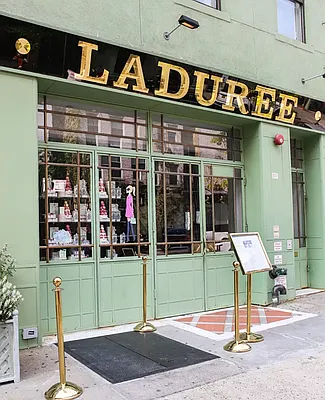 Rented by Douglas Elliman | media 19