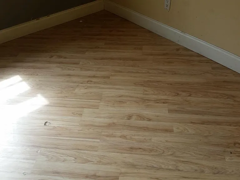 825 Euclid Ave — Photo 6