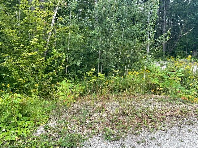 2nd image of 7859 Pineridge Rd