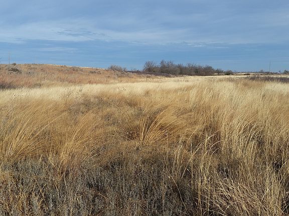 3rd image of 41889 S County Road 197 Lots 13-16 #Lots