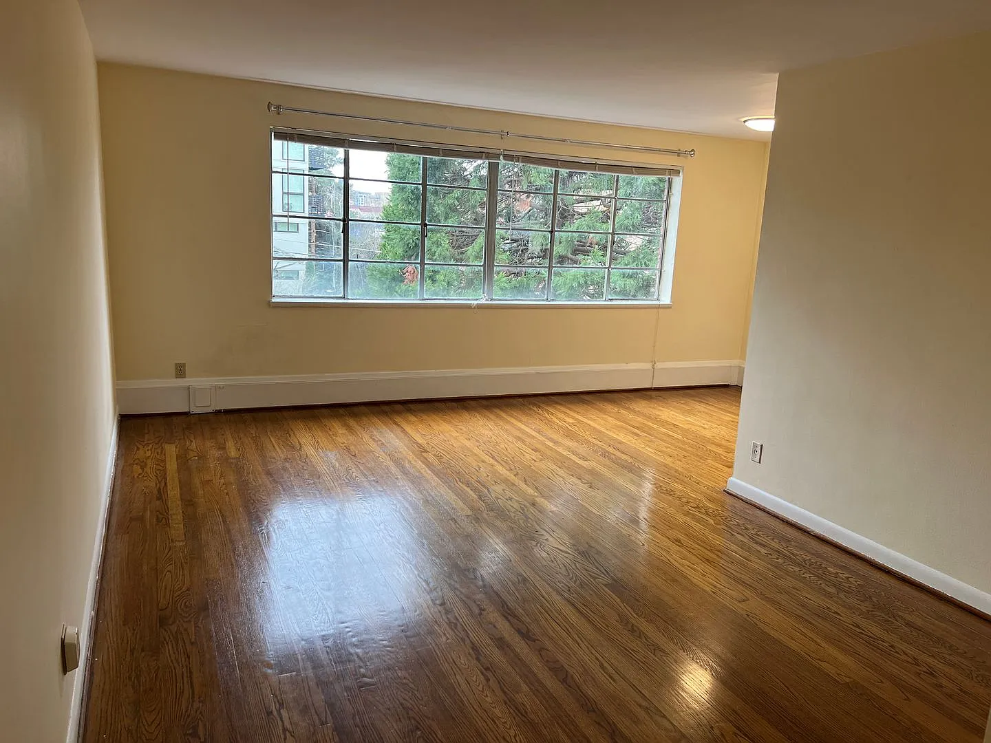 Capitol Hill 1BR with gorgeous hardwood floors, top floor corner unit! — Photo 3