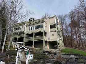 220 Mountainside Dr, Stowe, VT