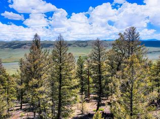 Lot 262 Middle Fork Vista LOT 262, Fairplay, CO 80440