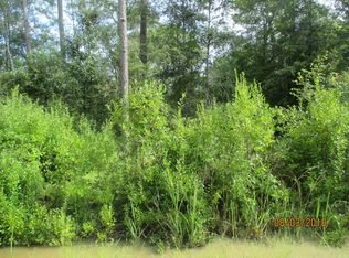 644 Lakeview Dr, Ray City, GA 31645