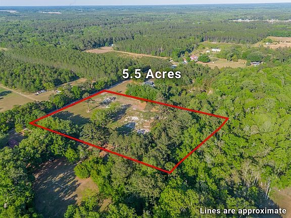 2nd image of 264 Williams Loop