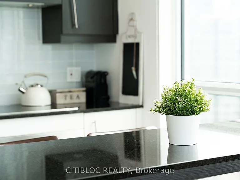 30 Nelson St #2807 — Photo 38