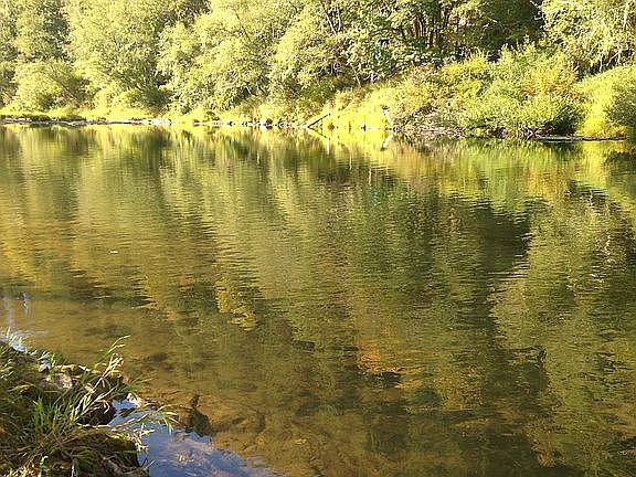 Several great fishing holes 