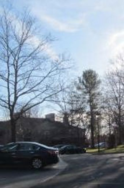 Exterior Neighborhood (street photo)