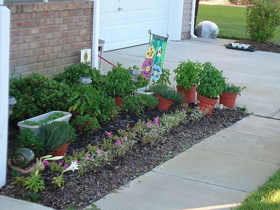 Beautiful landscaping