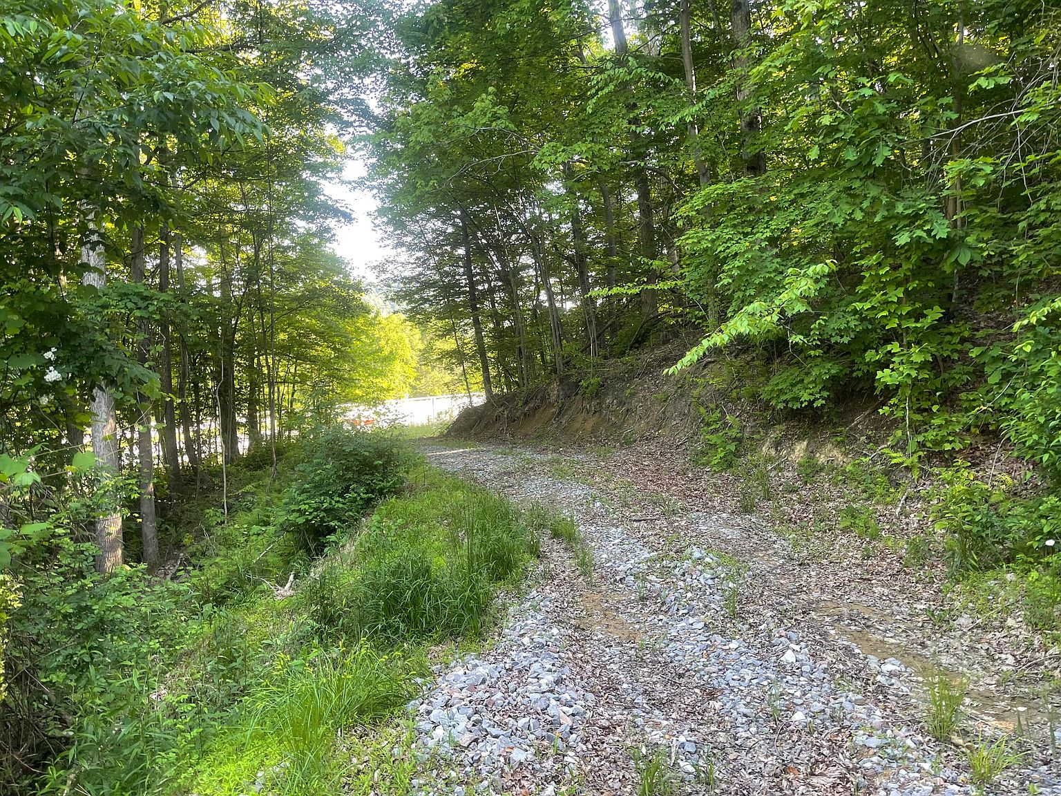 0 Muddlety Valley Rd, Summersville, WV 26651 Zillow