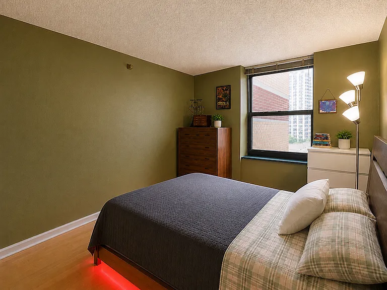 3660 N Lake Shore Dr #713 — Photo 12