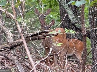 26 Whippoorwill Ter, Alto, GA 30510