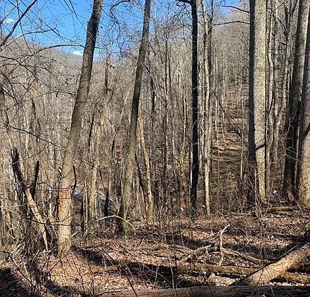 3rd image of 3 Cedar Mountain Rd