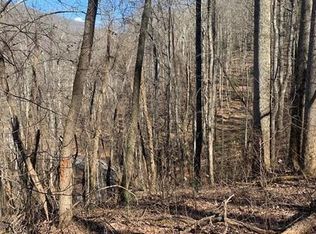 3 Cedar Mountain Rd, Asheville, NC 28803
