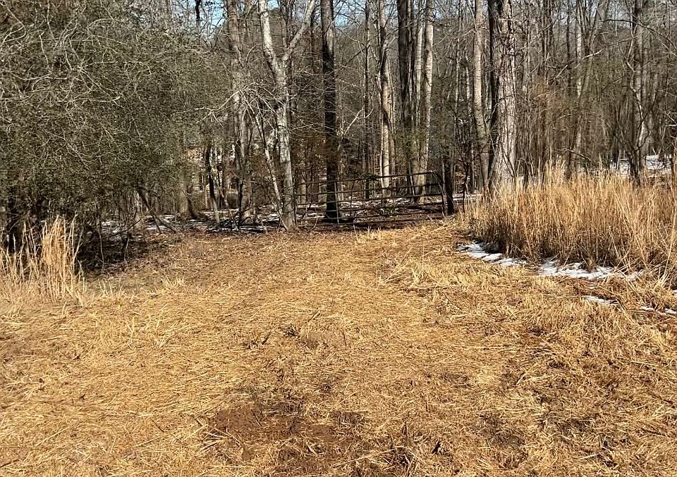 2nd image of 0 Bailey Mill Rd