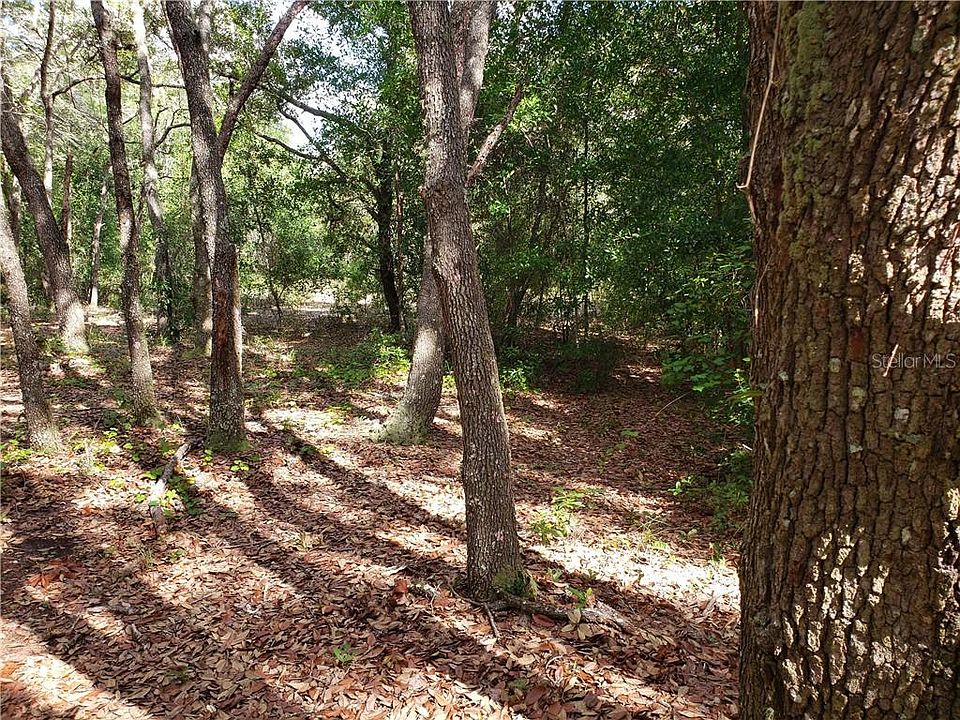 1st image of 34390 Umbrella Rock Dr