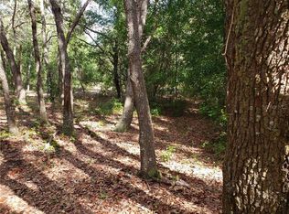 34390 Umbrella Rock Dr, Webster, FL 33597