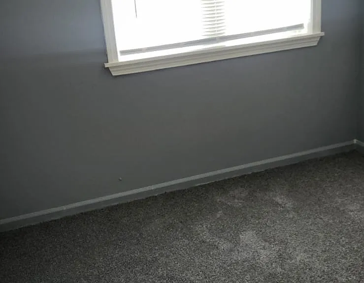 137-143 Cannon Rd — Photo 17