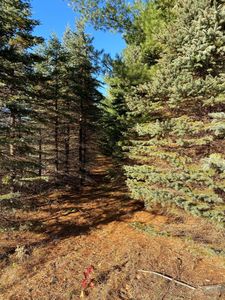 17201 Saint Francis Blvd, Anoka, MN, 55303