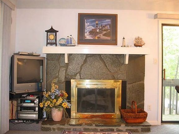 Wood-burning fireplace