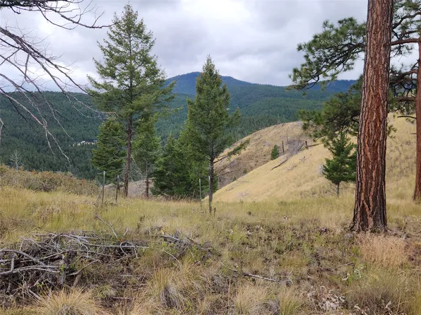 250 Felan Gulch Rd, Drummond, MT 59832